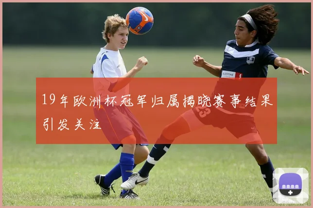 19年欧洲杯冠军归属揭晓赛事结果引发关注